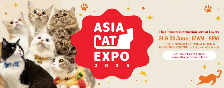 Asia Cat Expo 2025: Singapore's Ultimate Feline Festival Returns