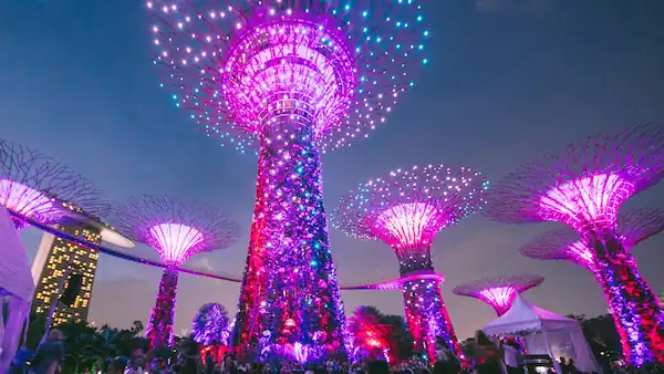 Gardens by the Bay Unveils Fireflies-Inspired Light Show