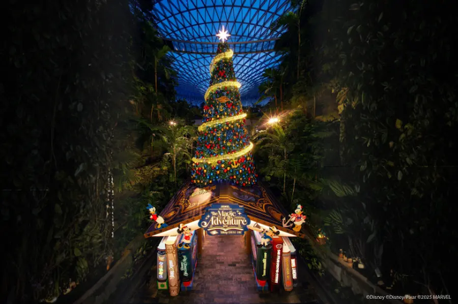 Free Canopy Park Entry at Jewel Changi Airport: How to Redeem