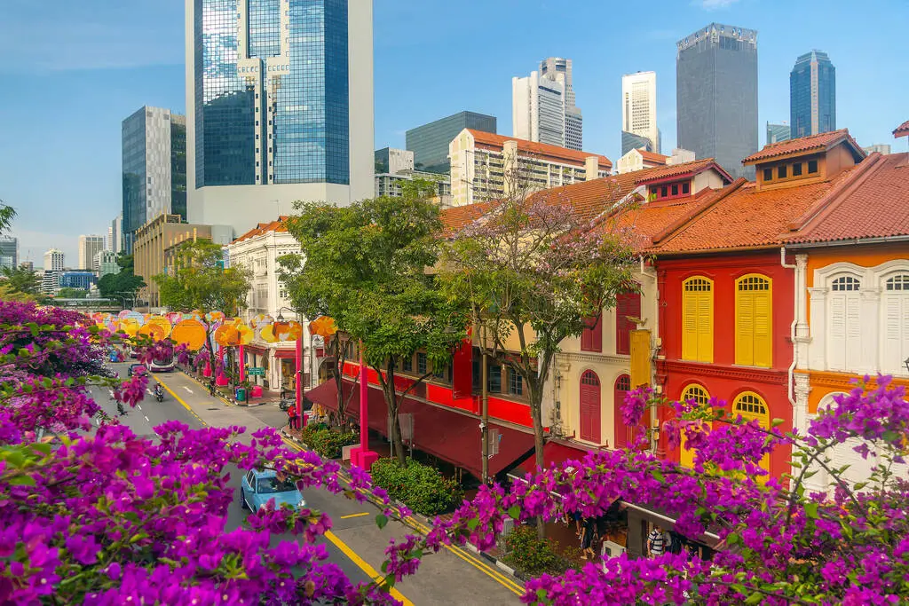 Explore Singapore in 2026: Getting Around, Top Activities & Attractions 1 image of downtown city skyline cityscape chinatown singapore pink flower