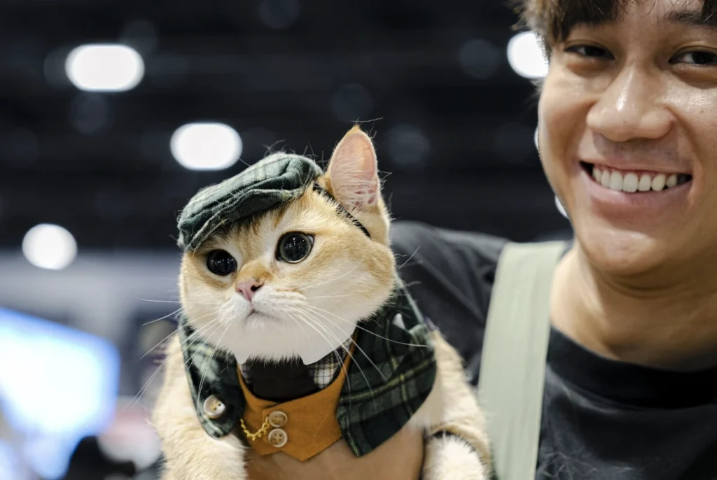 Asia Cat Expo 2026: Singapore's Largest Cat-Exclusive Event