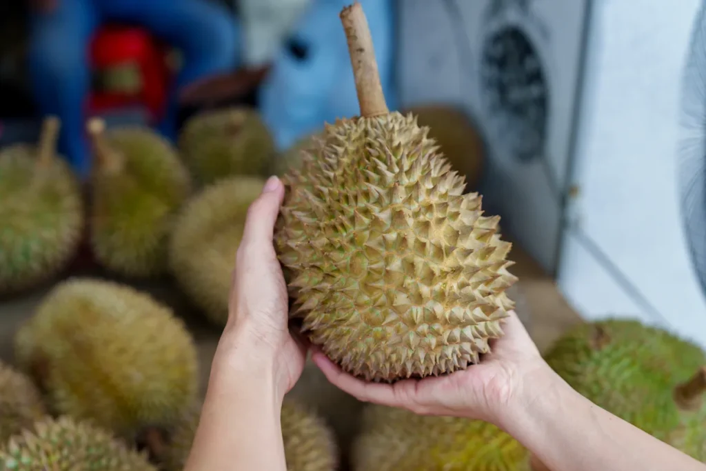 Why Are Durians Banned In Singapore?