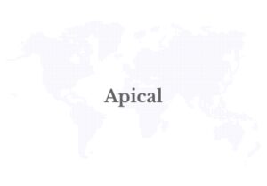 http://Apical%20Strengthens%20Collaboration%20to%20Prevent%20Stunting%20Through%20Nutritious%20Menu%20Creation%20Competition