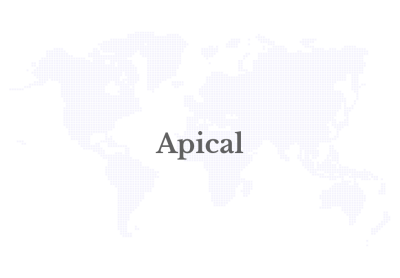 Apical Provides Free Health Screenings and Treatment for Lubuk Gaung Residents