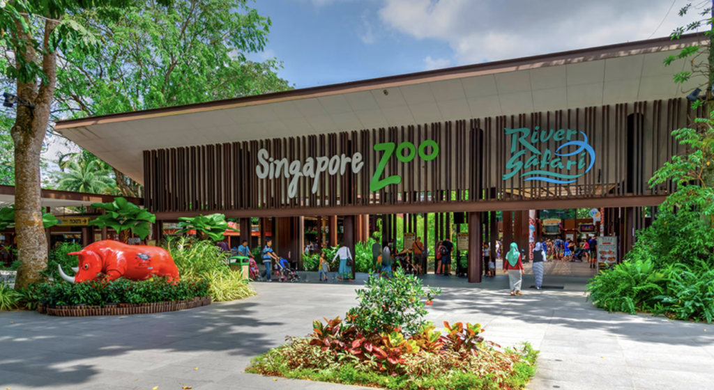 Singapore Zoo vs River Wonders: Which Is Worth Your Ticket Money