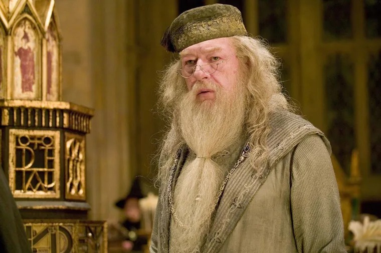 The Beloved Dumbledore from Harry Potter Leaves Behind a Magical Legacy