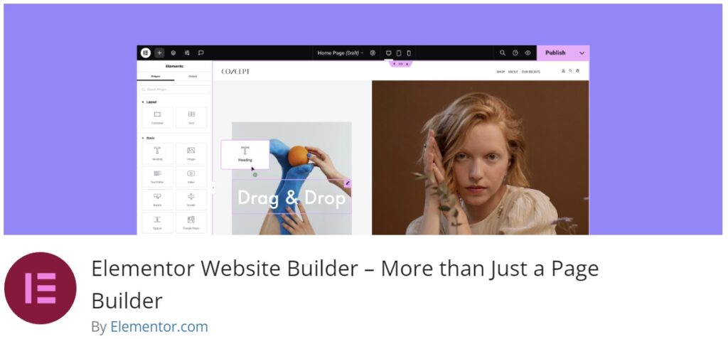 Elementor Website Builder Plugin