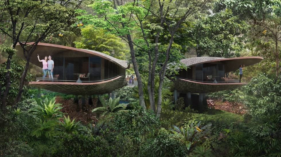 Explore Mandai Rainforest Resort: Singapore's New Eco Retreat