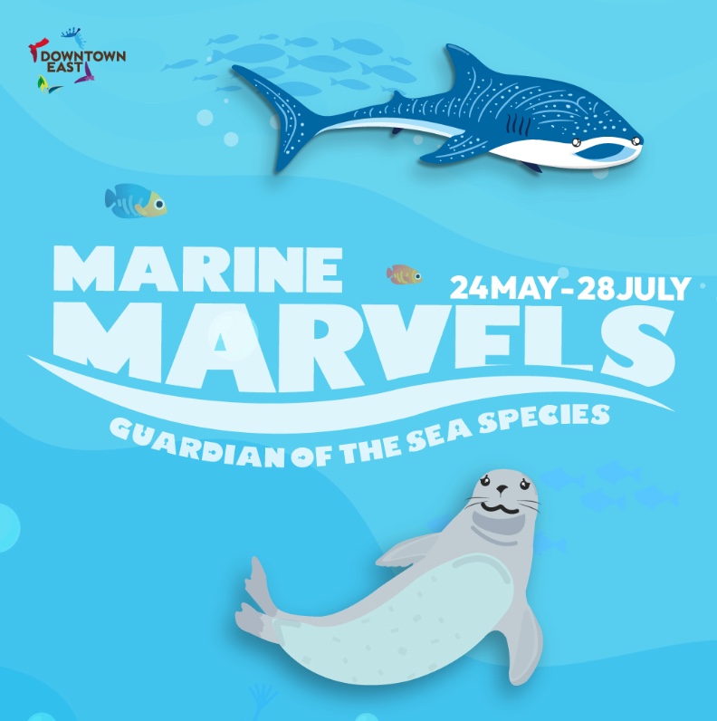 Explore Marine Marvels: Dive into Conservation & Adventure!