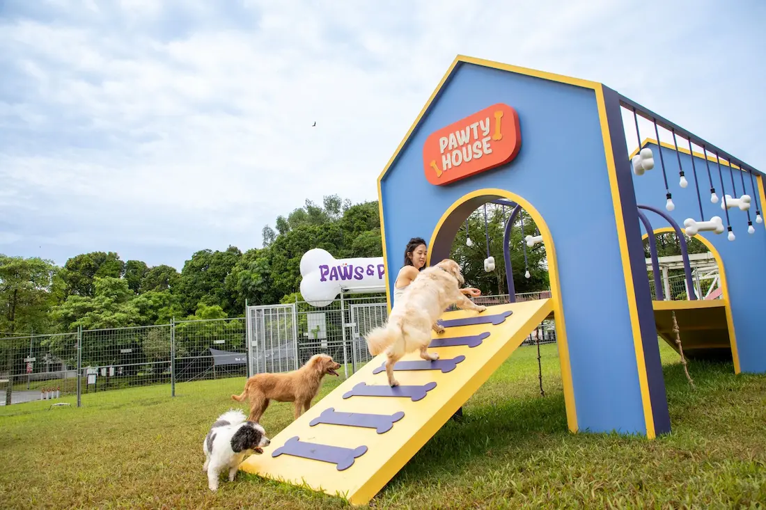 Visit the Largest Outdoor Pet Playground in Singapore