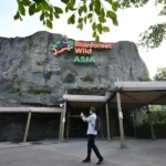 Rainforest Wild Asia: Singapore's Multi-Layered Nature Adventure