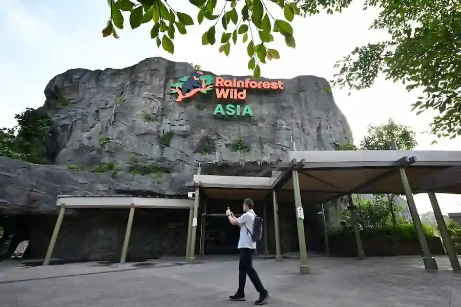 Rainforest Wild Asia: Singapore's Multi-Layered Nature Adventure