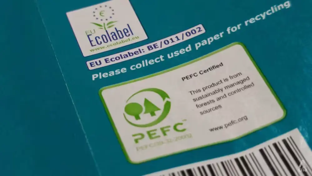 Eco-Labels in Singapore: Navigating Sustainability Certifications