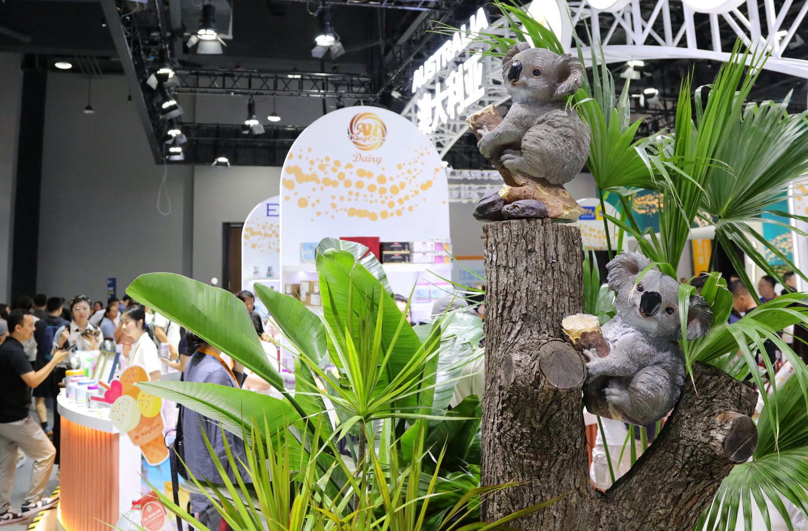 Australian representation at CIFTIS reflects deepening cooperation with China: experts 2 The Australian Exhibition Stand as the Guest Country of Honor at the 2025 CIFTIS