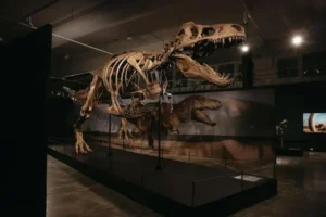 Singapore Dinosaur Exhibition Opens Oct 2025 - Largest Ever