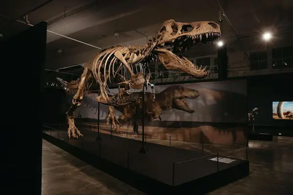 Singapore Dinosaur Exhibition Opens Oct 2025 - Largest Ever