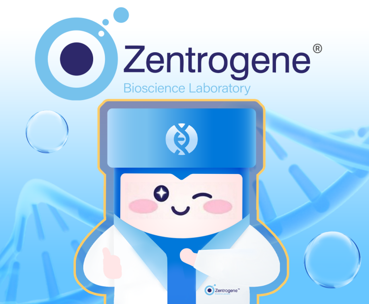 Hong Kong Lab Zentrogene Cracks Twin DNA Code; Gender Mystery Solved for Moms Worldwide 1 Illustration: IP Image Ambassador Dr.z