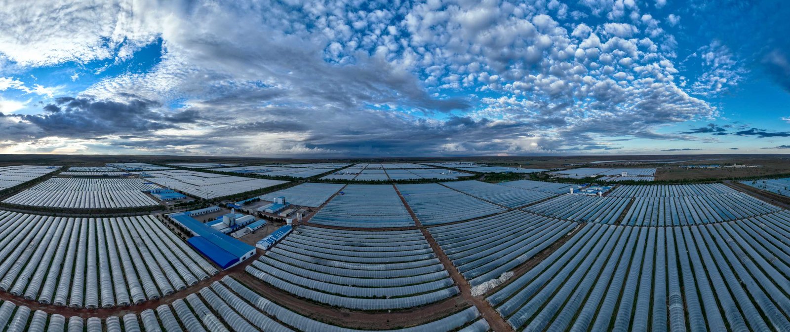 Chinese Spirulina Industry Expands Global Reach, Promoting Health and Nutrition Benefits 1 Spirulina Industrial Park.