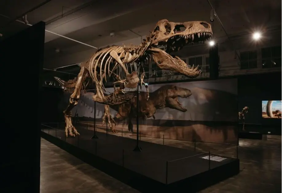 Dinosaur Exhibition at Science Centre Singapore: A Colossal Prehistoric Adventure