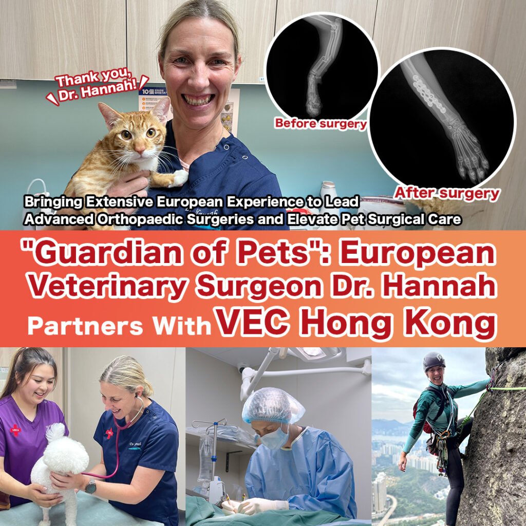 "Veterinary Orthopedic Guardian": European Veterinary Surgeon Dr. Hannah Partners With VEC Hong Kong