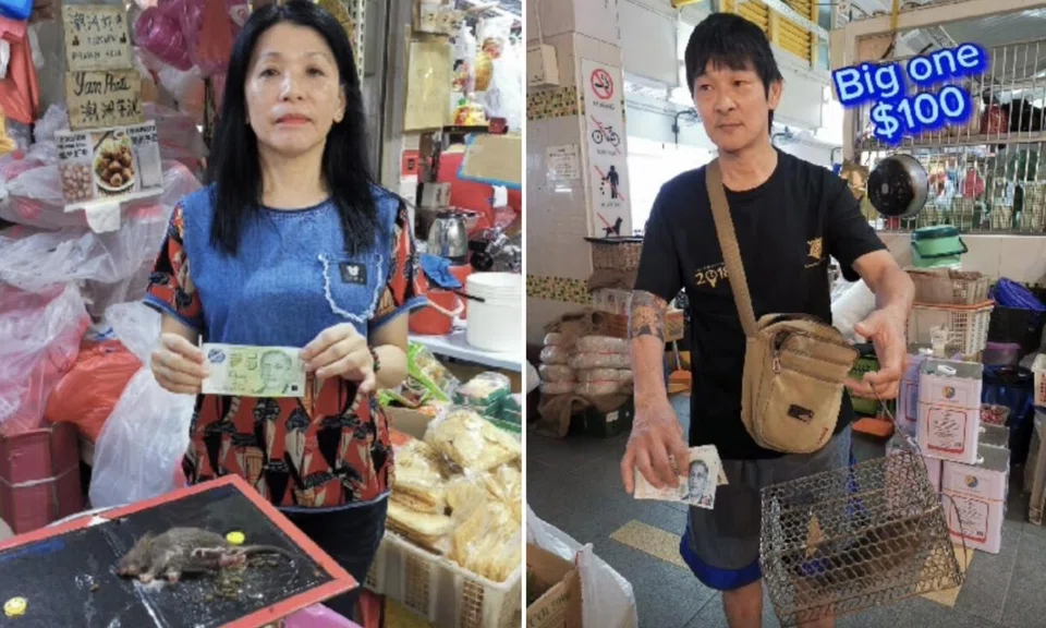 Clementi Hawkers Launch $50 Bounty on Rats to Tackle Infestation