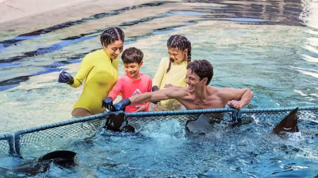 Best Activities in Singapore: Your Complete 2026 Guide 2 Adventure Cove Waterpark at Sentosa