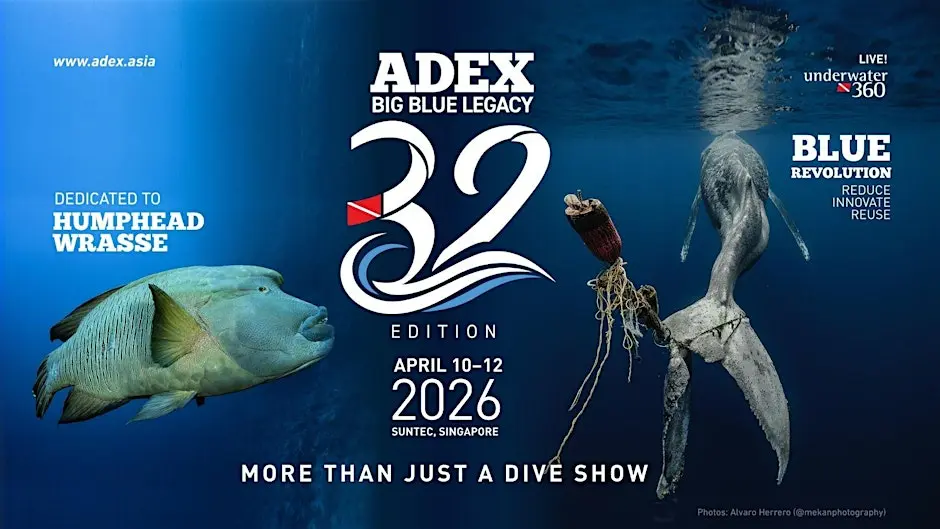 Singapore Ocean Week 2026: Dive into Conservation
