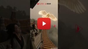 http://The%20Changsha%20Jiandu%20Museum%20launches%20its%20Digital%20Exhibition%20Hall,%20Allowing%20Visitors%20from%20All%20Over%20the%20World%20to%20Adopt%20Digital%20Collections%20with%20One%20Click